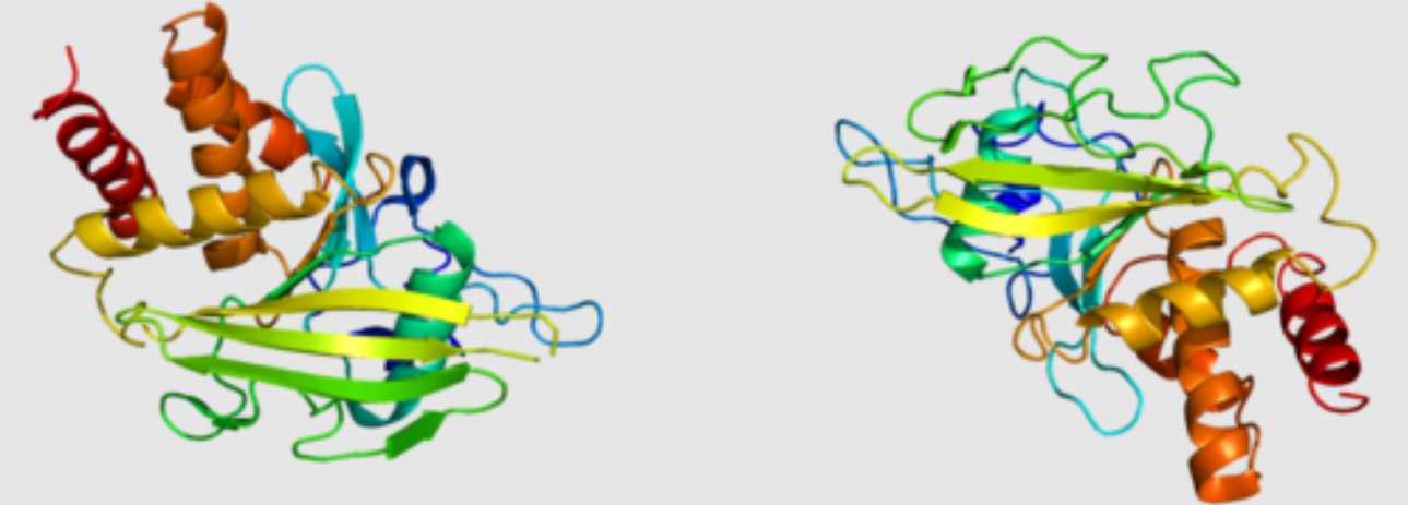 Receptor-type Protein Tyrosine Phosphatases Library