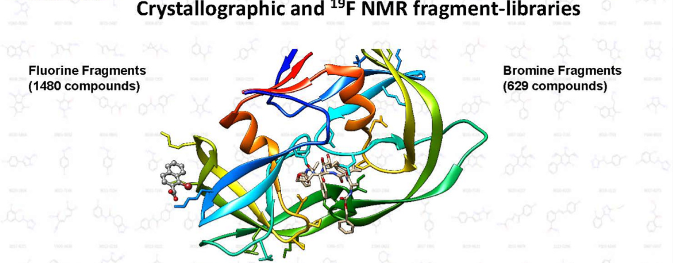 Crystallographic and 19F NMR fragment-libraries