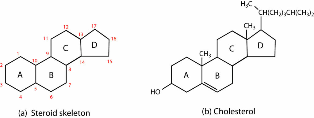 Steroid-like Compounds